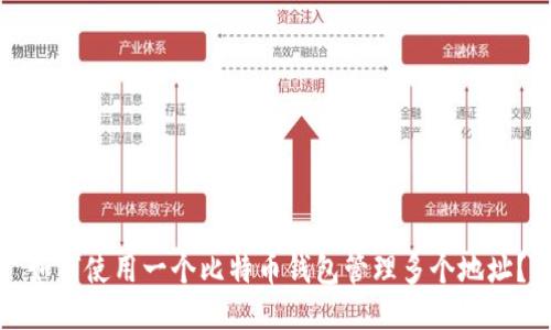 如何使用一个比特币钱包管理多个地址？
