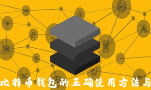 全面解析比特币钱包的正确使用方法与安全策略