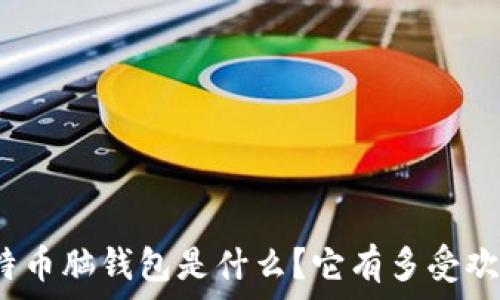   
比特币脑钱包是什么？它有多受欢迎？