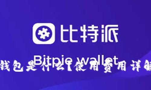 比特币在线钱包是什么？使用费用详解与选择指南