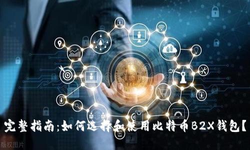 完整指南：如何选择和使用比特币B2X钱包？