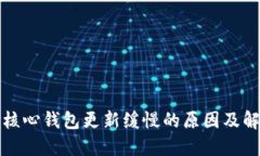 狗狗币核心钱包更新缓慢