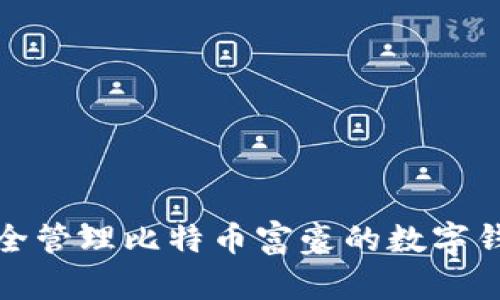 如何安全管理比特币富豪的数字钱包地址