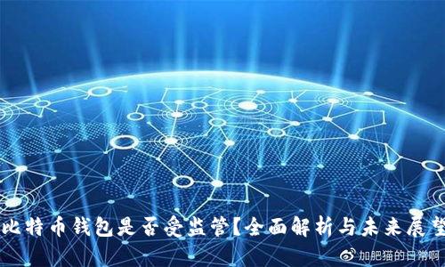 比特币钱包是否受监管？全面解析与未来展望