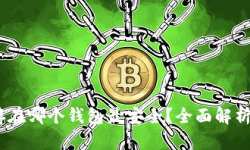 USDT存在哪个钱包最安全？全面解析与推荐