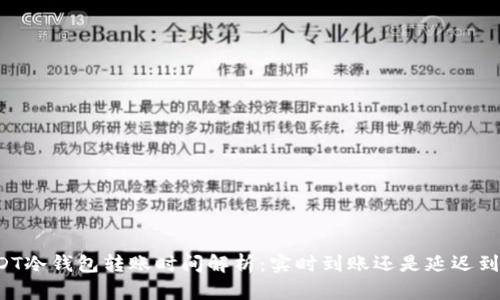 USDT冷钱包转账时间解析：实时到账还是延迟到账？