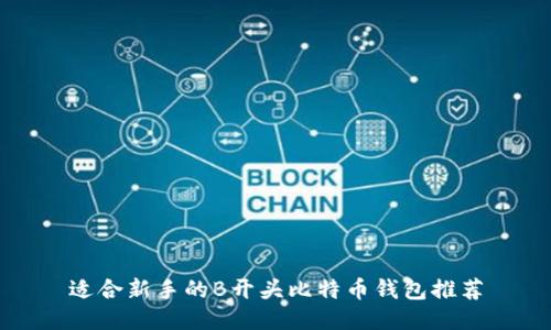 适合新手的B开头比特币钱包推荐