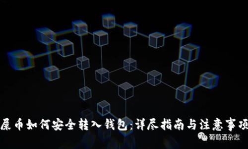 屎币如何安全转入钱包：详尽指南与注意事项