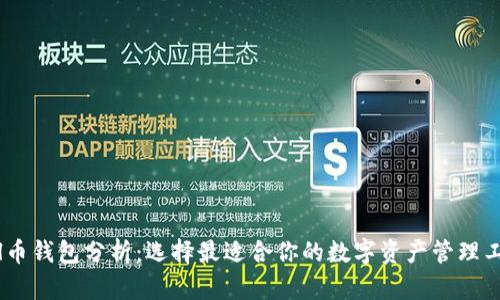 Sol币钱包分析：选择最适合你的数字资产管理工具