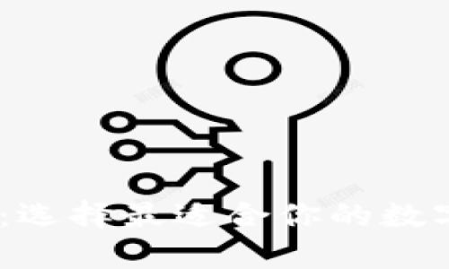 Sol币钱包分析：选择最适合你的数字资产管理工具