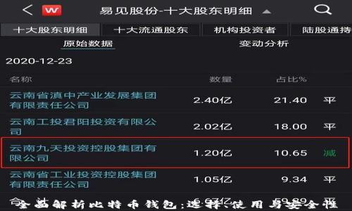 
全面解析比特币钱包：选择、使用与安全性