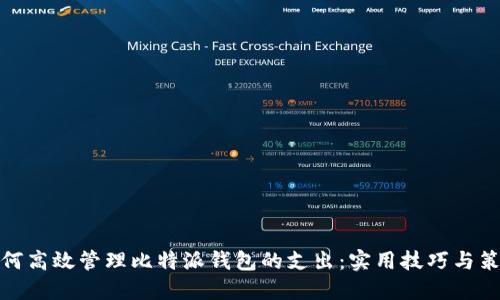 如何高效管理比特派钱包的支出：实用技巧与策略