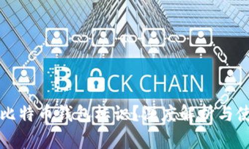 什么是比特币钱包标识？深度解析与使用指南