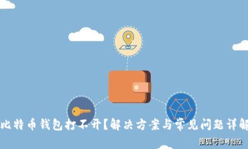 比特币钱包打不开？解决方案与常见问题详解