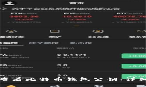 如何查看比特币钱包公钥：详细指南