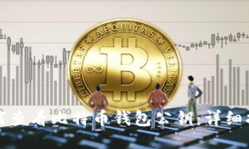 如何查看比特币钱包公钥：详细指南