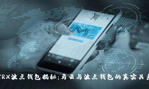 TRX波点钱包揭秘：马云与波点钱包的真实关系