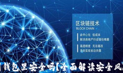 
比特币提现到钱包里安全吗？全面解读安全风险与保护策略