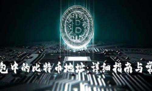 如何更改钱包中的比特币地址：详细指南与常见问题解答