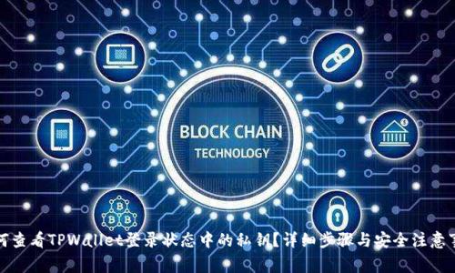 如何查看TPWallet登录状态中的私钥？详细步骤与安全注意事项
