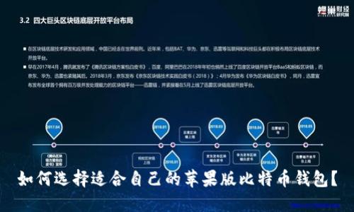 如何选择适合自己的苹果版比特币钱包？