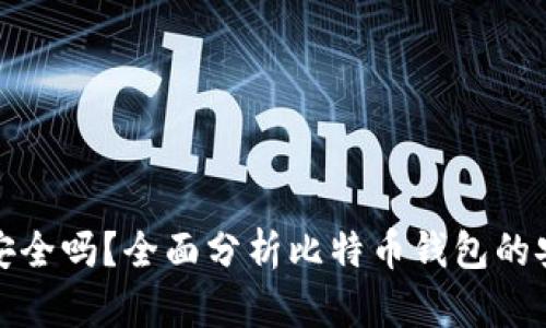 比特币钱包安全吗？全面分析比特币钱包的安全性与风险