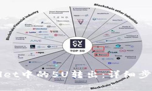 如何将TPWallet中的5U转出：详细步骤和注意事项