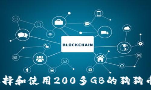   
如何选择和使用200多GB的狗狗币钱包？