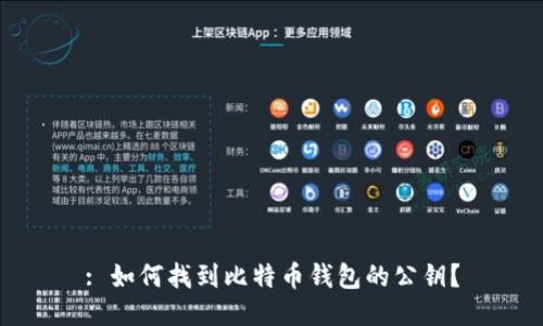 : 如何找到比特币钱包的公钥？