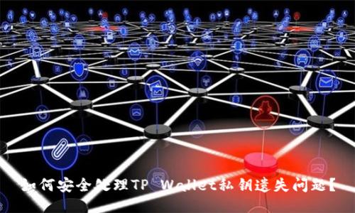 如何安全处理TP Wallet私钥遗失问题？