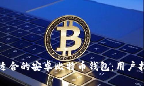 如何选择适合的安卓比特币钱包：用户指南与推荐