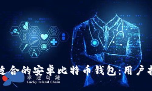 如何选择适合的安卓比特币钱包：用户指南与推荐