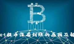 TPWallet提币没有到账的原因