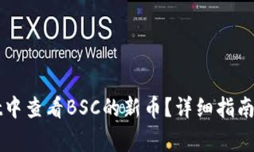 如何在TPWallet中查看BSC的新币？详细指南与常见问题解答