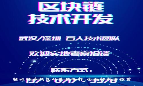轻比特币钱包的最佳选择：全面解析与推荐