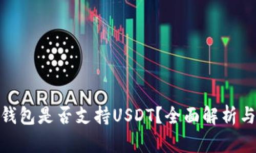 imToken钱包是否支持USDT？全面解析与使用指南