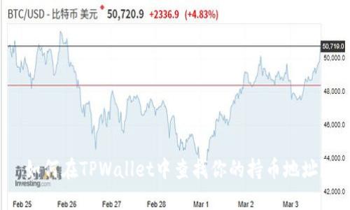 如何在TPWallet中查找你的持币地址？