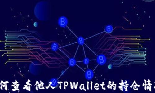 
如何查看他人TPWallet的持仓情况？