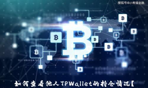 
如何查看他人TPWallet的持仓情况？