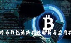 比特币钱包活跃指数解析
