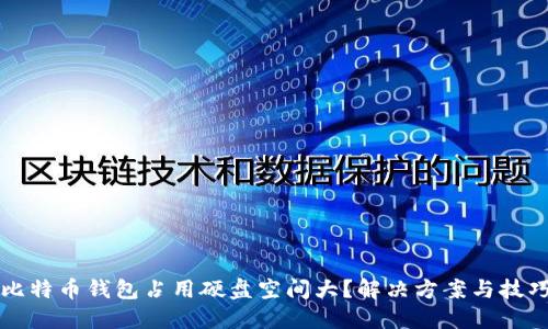 比特币钱包占用硬盘空间大？解决方案与技巧
