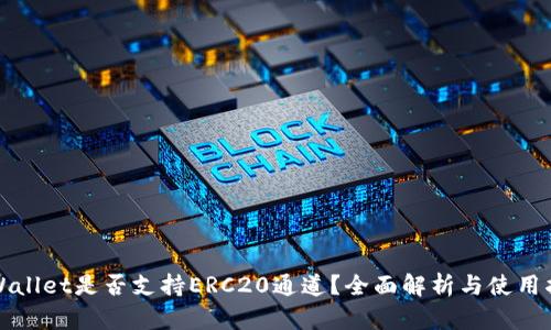 TPWallet是否支持ERC20通道？全面解析与使用指南