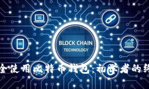 如何安全使用比特币钱包：初学者的终极指南