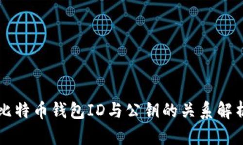 比特币钱包ID与公钥的关系解析