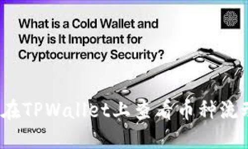 如何在TPWallet上查看币种流动性？