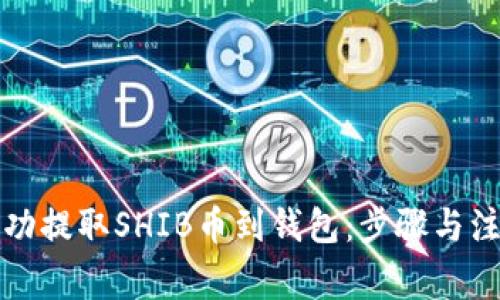 如何成功提取SHIB币到钱包：步骤与注意事项