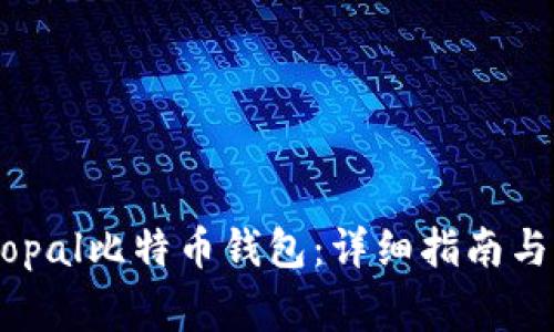 如何开启Hellopal比特币钱包：详细指南与常见问题解答