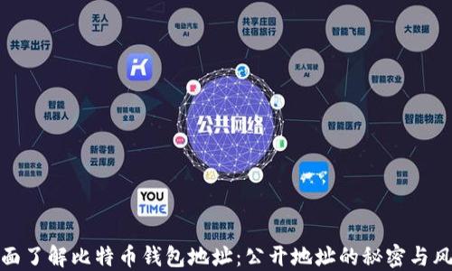 
全面了解比特币钱包地址：公开地址的秘密与风险
