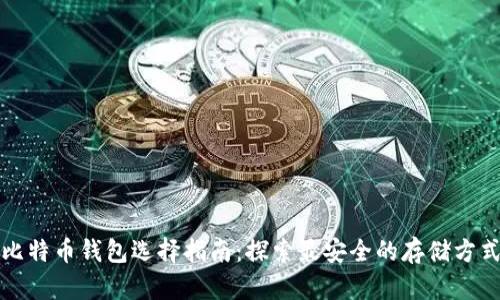 比特币钱包选择指南：探索最安全的存储方式