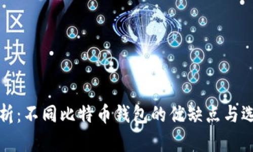 全面解析：不同比特币钱包的优缺点与选择指南